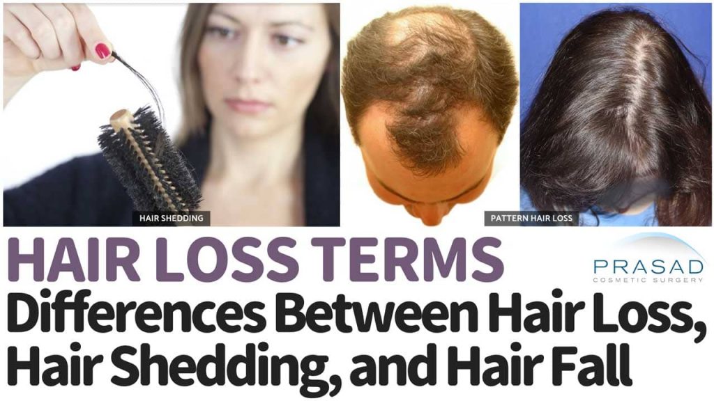 differences between hair thinning, hair shedding, hair loss, and hair fall
