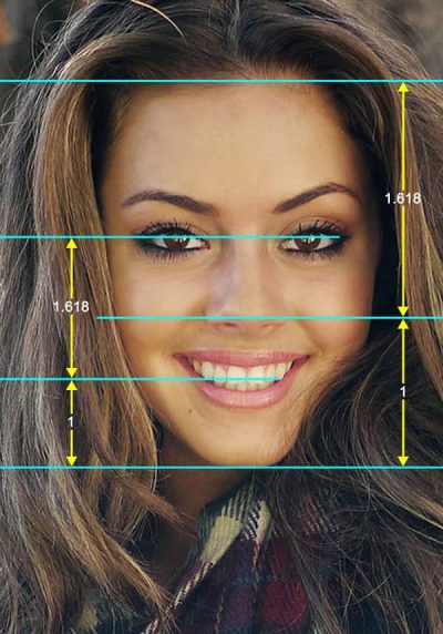 golden ratio illustration on female face