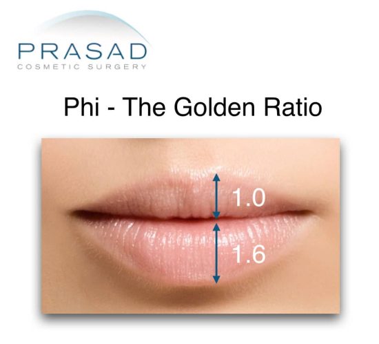 phi golden ration on lips illustration